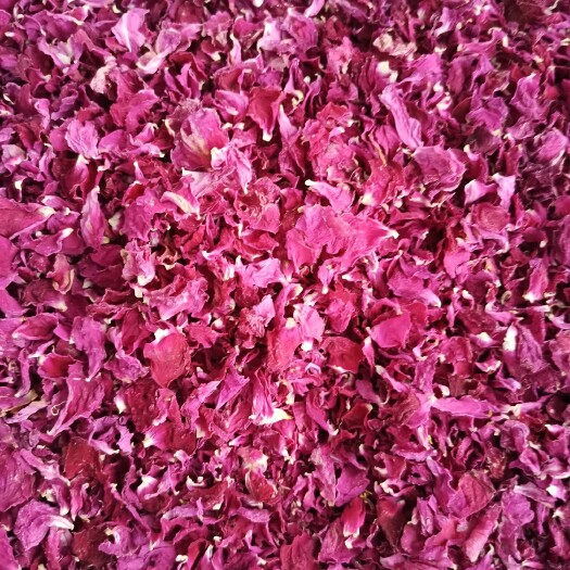 平阴县玫瑰花瓣