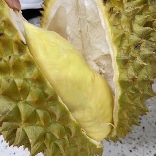 杭州金枕榴莲
