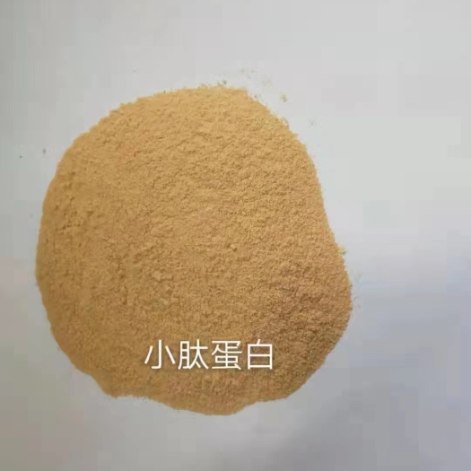 石家庄小肽蛋白