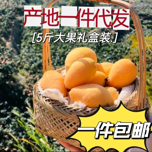 仁寿县一件代发四川眉山枇杷新鲜特大水果当季整箱包邮琵琶果大果五斤装