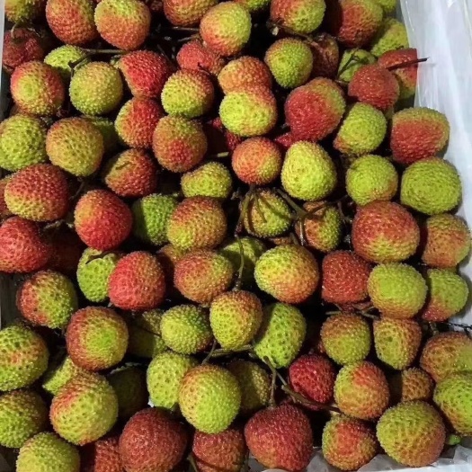 灵山县广西灵山正宗妃子笑荔枝糯米糍荔枝，有需要的可以联系大量有货。