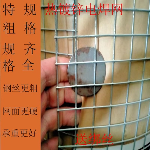安平县热镀锌电焊网铁丝网钢丝养殖养鸡网格防护网家用防锈