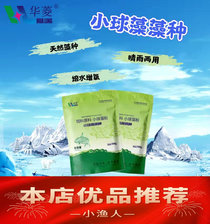 郑州小球藻藻种，饲料发酵剂，晴雨两用，活性高