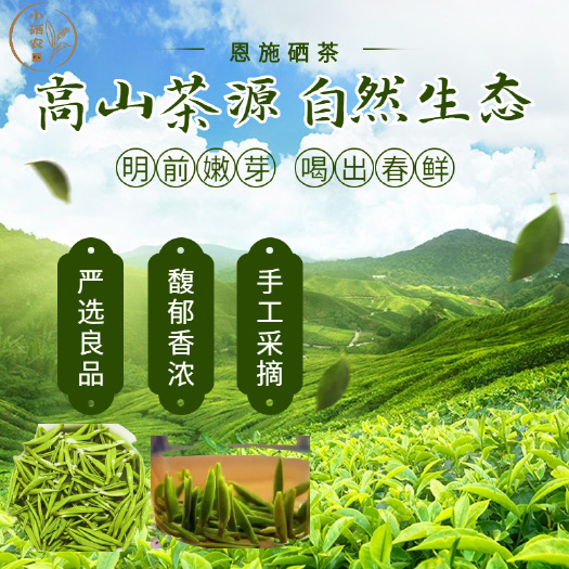 宣恩县恩施玉露硒茶明前贡芽199元/250g礼盒装