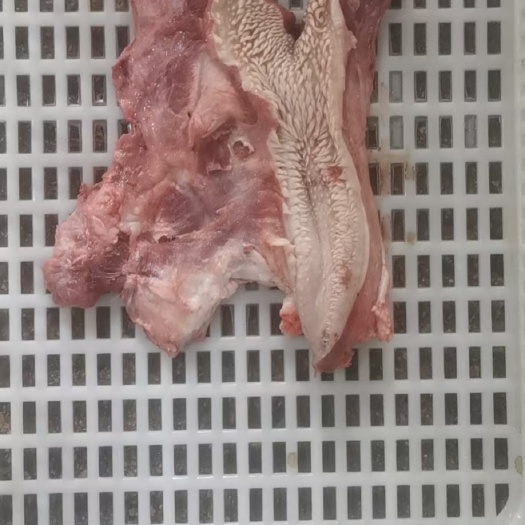 昆明牛嘴巴   精修牛头肉牛嘴巴肉