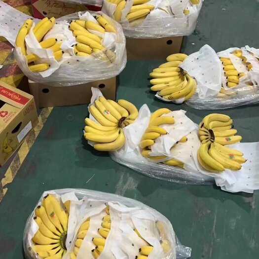 上海香蕉批发欢迎您！本人长期供应各种精品香蕉批发！