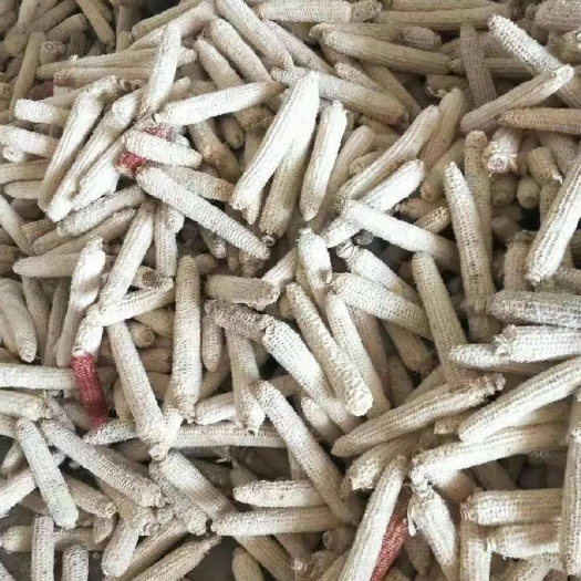 青县谷物饲料