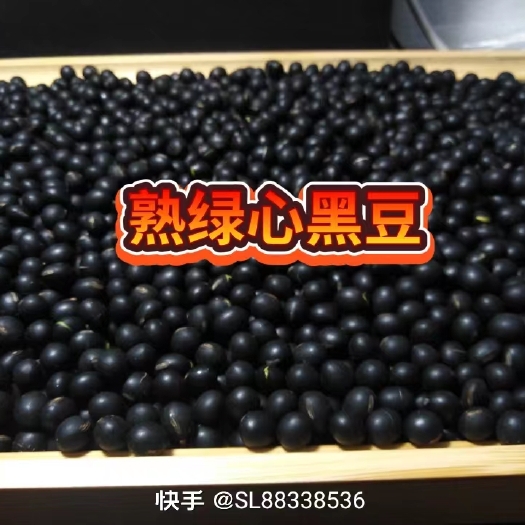 哈尔滨黑豆青仁熟