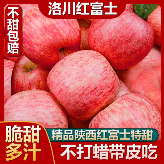 洛川县陕西洛川红富士苹果新鲜采摘果肉脆甜现摘现发