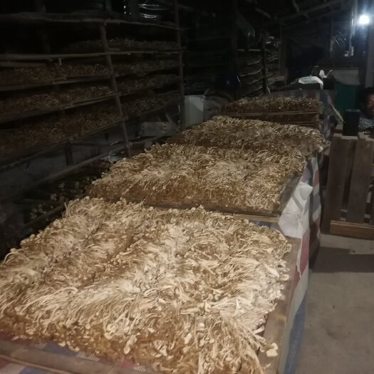 广昌县茶树菇，菇，广昌特产，肉质鲜，价格优惠，有需联系