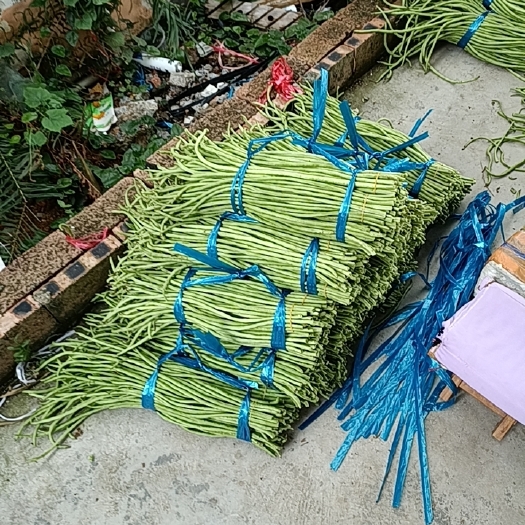 合浦县酸豆角