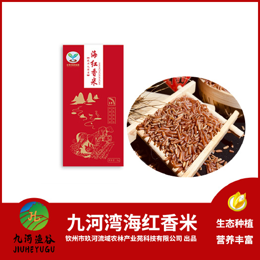 钦州九河湾海红香米-钦州特产广西海水稻谷糙米红米精选1KG