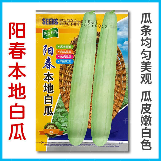 广州阳春本地白瓜种子广东白皮白筋白瓜种籽菜瓜种农家春夏秋蔬菜种孑