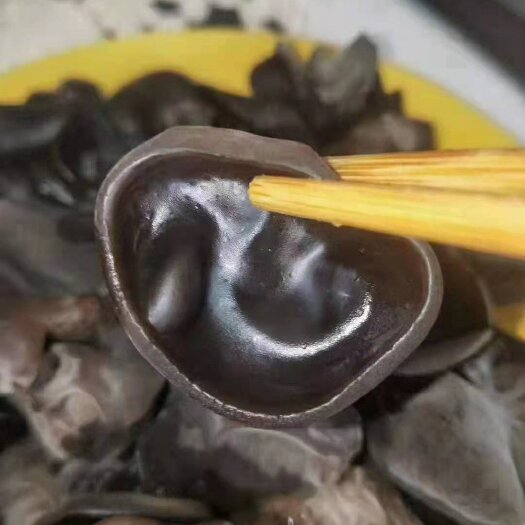 海林市东北马姐优质秋木耳批发，产地直销