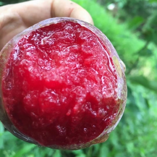 汉源县味帝