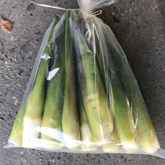 上海3斤装团购茭白