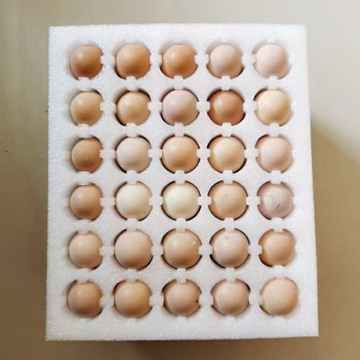 赵县珍珠棉鸡蛋托泡棉