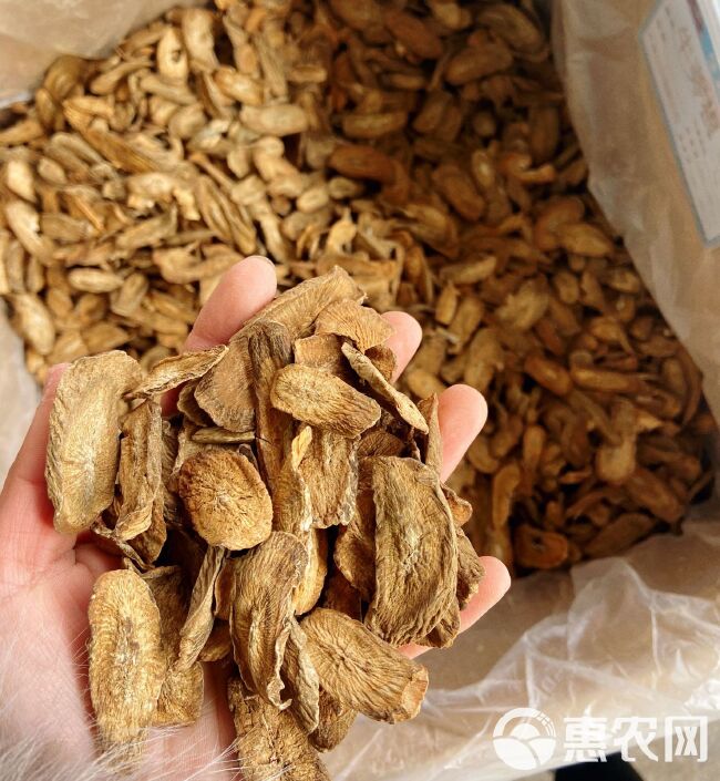 牛蒡茶 精选全干无硫黄金牛蒡茶 规格齐全产地直销可供大货