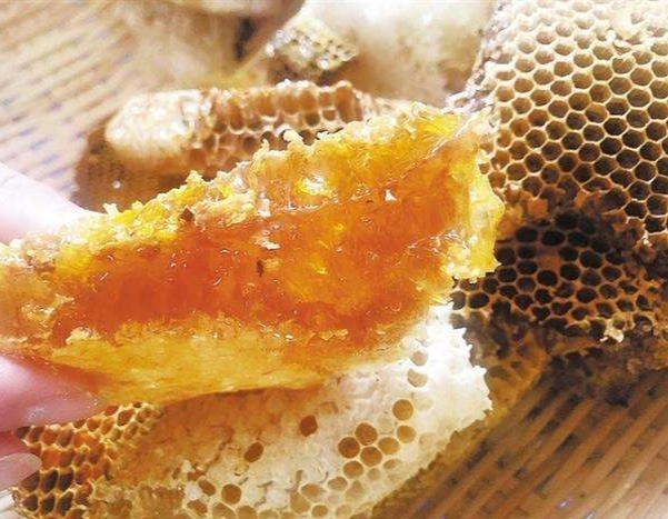 镇宁县农家土蜂蜜