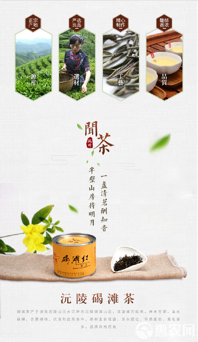 湖南沅陵 凤娇茶叶碣滩红茶茶叶 春茶100克