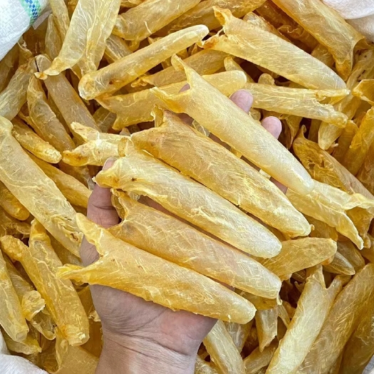 广州黄花胶