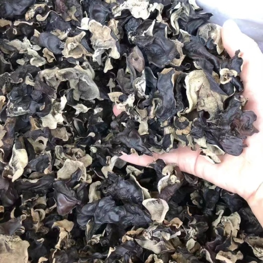 成都毛木耳，优质毛木耳，干货，跑江湖，地摊展会