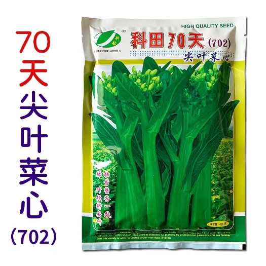 广州科田70天尖叶油青甜菜心种子粗条矮壮耐雨水大田菜心种籽蔬菜种