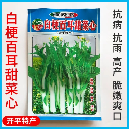 白梗百耳甜菜心种籽早熟白菜苔种孑农家青菜籽种开平特色蔬菜种子
