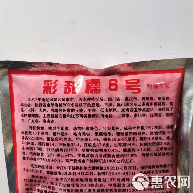 国审彩甜糯6号玉米种子 荆州大花基地专用加甜彩糯玉米大棒高产