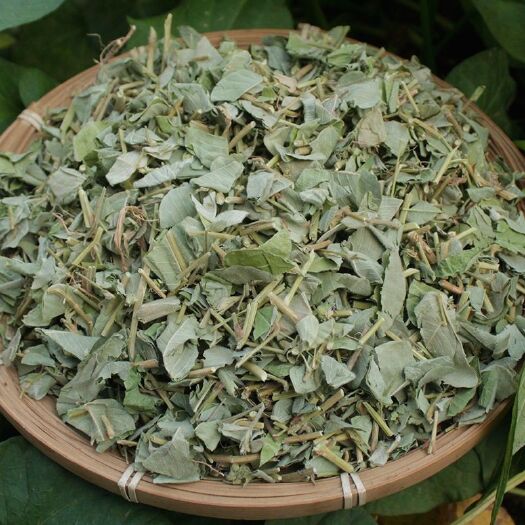 亳州金钱草大叶特大广金钱草泡茶 大叶金钱草干 新货纯净货金钱