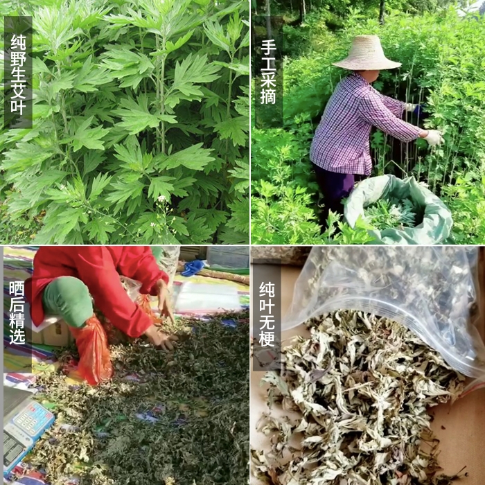 陈年艾叶干艾草泡脚专用泡澡新鲜家用足浴