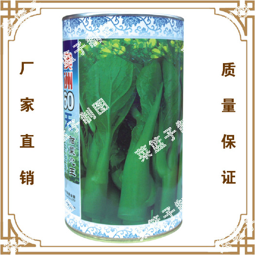 南宁喜良甜菜心种子澳洲60天粗条油青甜脆菜心