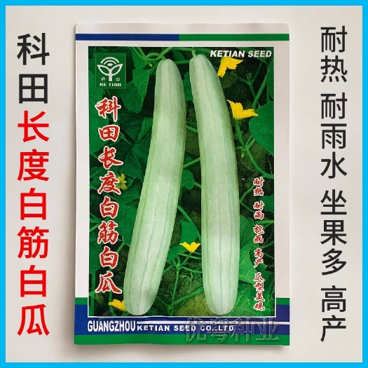 广州科田白筋白瓜种子耐热耐雨水广东青筋白瓜种籽春秋季蔬菜种孑