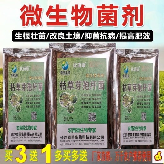 长沙县土壤微生物菌剂  枯草芽孢杆菌种植微生物菌剂绿色防根腐固氮抗