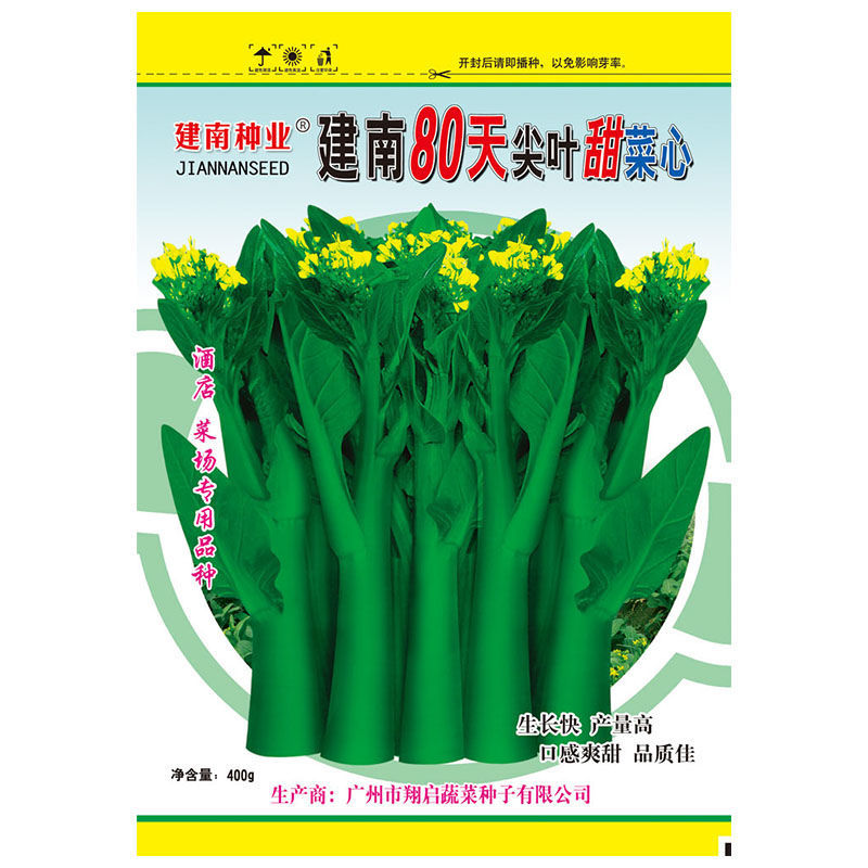 建南80天尖葉甜菜心種子廣東甜菜心種子高產(chǎn)油青尖葉菜心孑