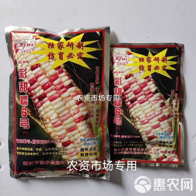 国审彩甜糯6号玉米种子 荆州大花基地专用加甜彩糯玉米大棒高产