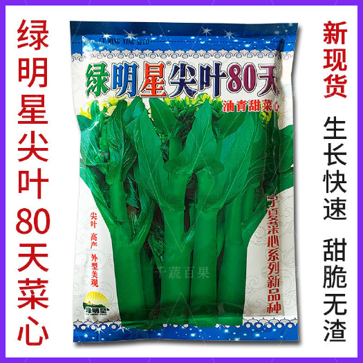 绿明星尖叶80天油青甜菜心种子 绿明星尖叶菜心耐寒甜菜心种