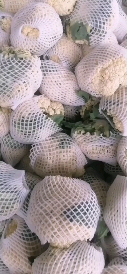 开封有机花菜大量有货需要提前预约吧！