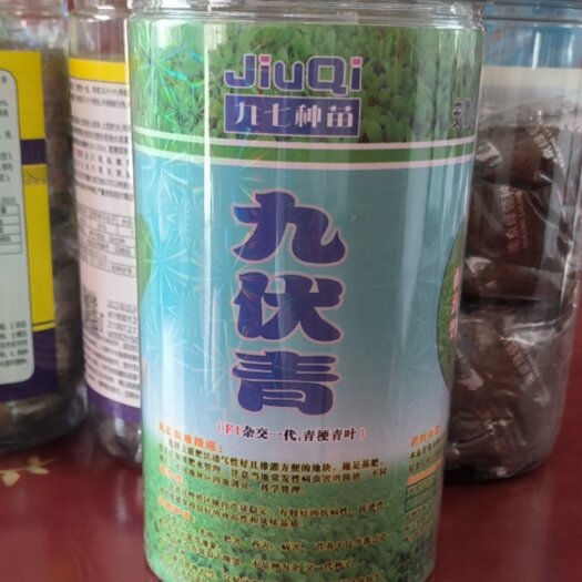 上海青种子青梗菜种子小油菜种子耐湿耐热抗病能力强高产直立束腰