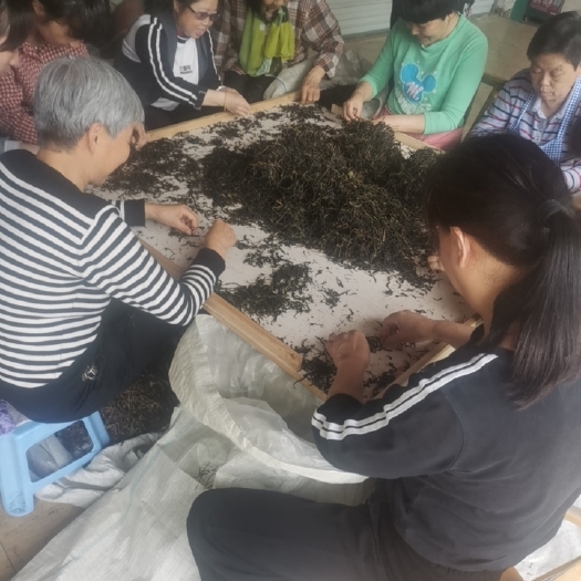 武夷山市茶上市老枞水仙《兰花香，棕叶味》。