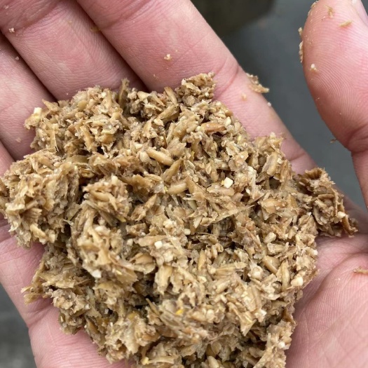 东莞市新鲜啤酒糟，养殖帮手，含水量低，价格实惠