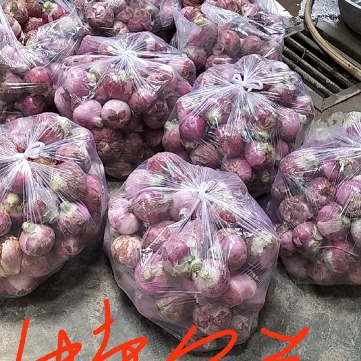 三原县新鲜洋葱