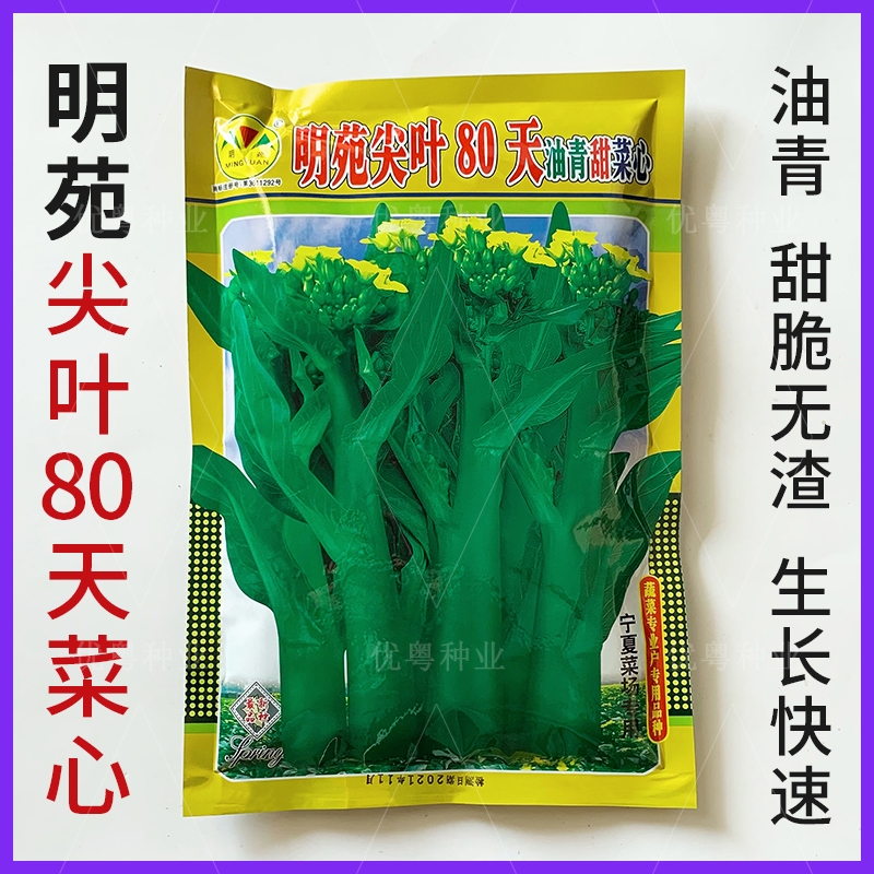 广州明苑尖叶80天油青甜菜心种子特粗苔高产菜心种籽大田用种蔬菜种
