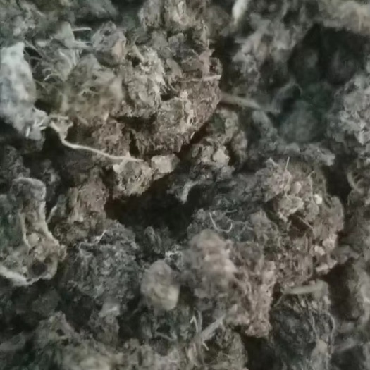 长丰县纯鸡粪