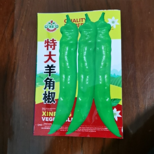 汕头特大羊角椒种子