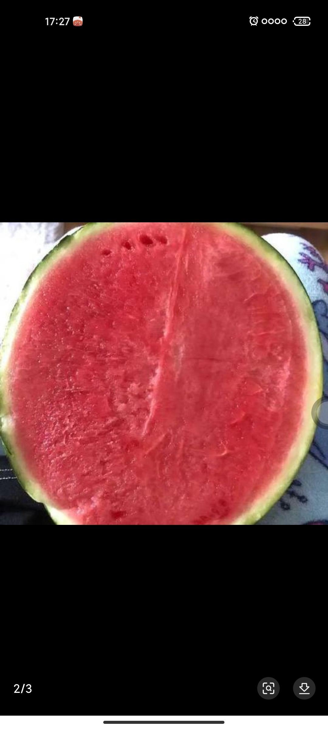 美都西瓜 美都汁多甜度高