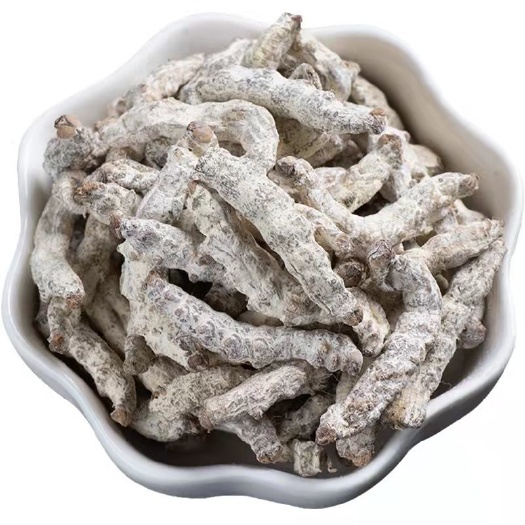 亳州僵蚕 白僵蚕炒僵蚕 僵蚕干批发 姜蚕疆蚕白僵虫