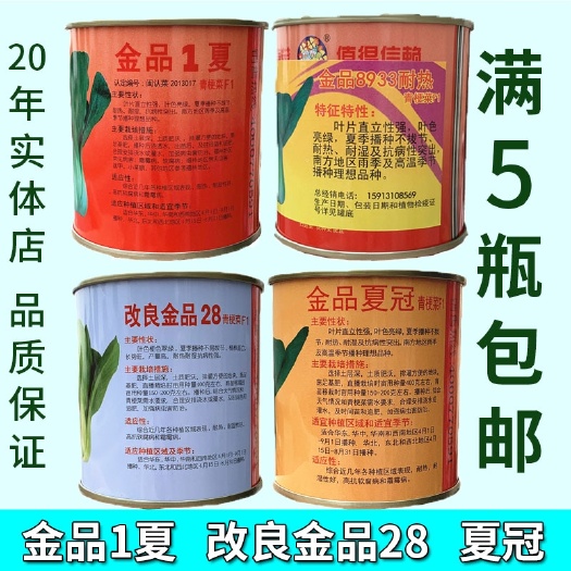广州金品1夏青梗菜种子改良金品28夏冠冬春四季蔬菜籽上海青