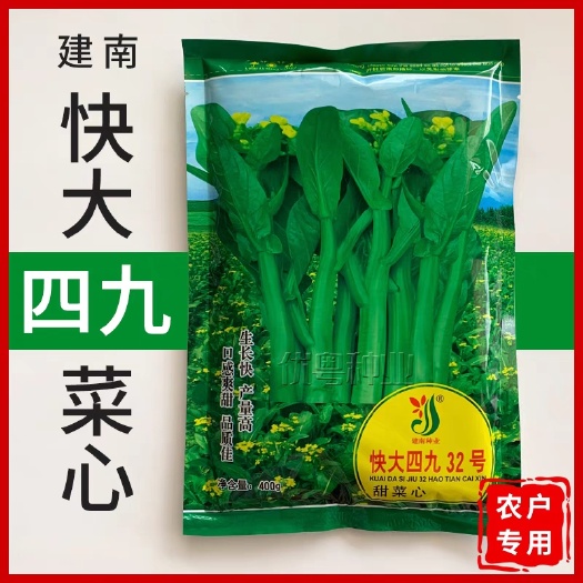 建南种业快大四九32号甜菜心种子黄叶白梗甜菜心青菜种籽蔬菜种