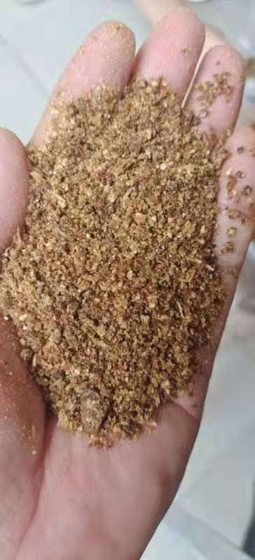 石家庄喷浆玉米胚芽粕